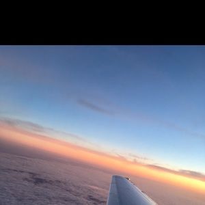 Meet your Posher, Violet